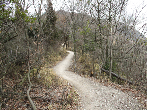 20140125hike (339)